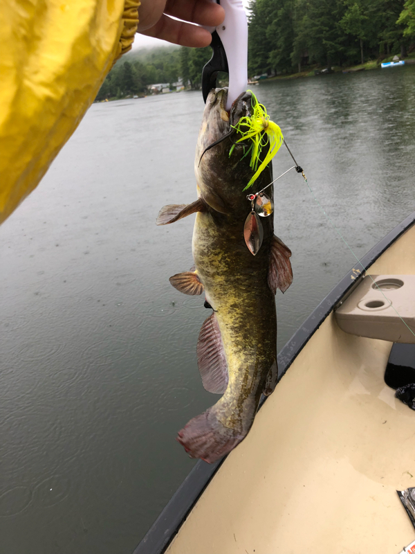 A photo of Eric Shults's catch