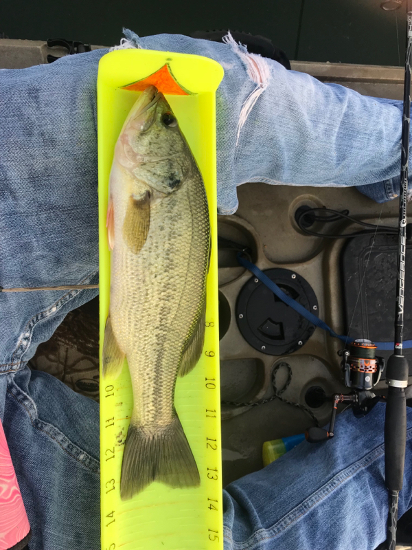 A photo of Adam Willich's catch