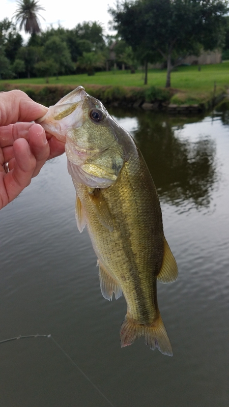 A photo of Chip Reeder's catch