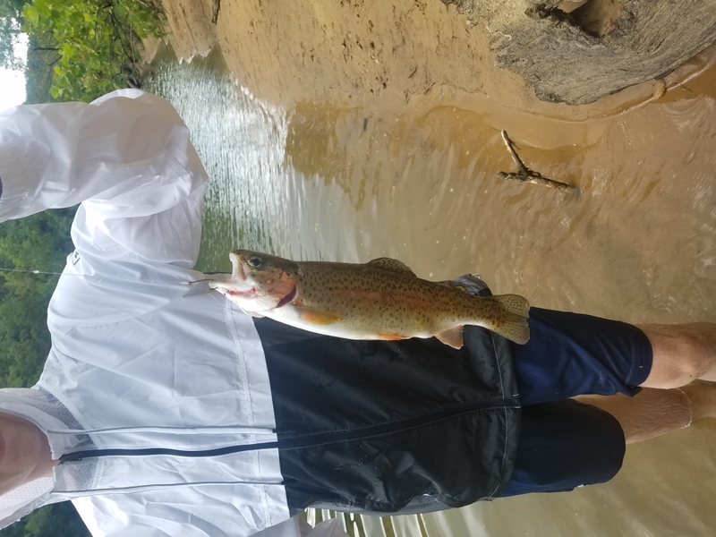 A photo of Pearson  Dodd's catch