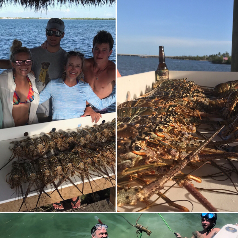 A photo of Boneafide Charters's catch