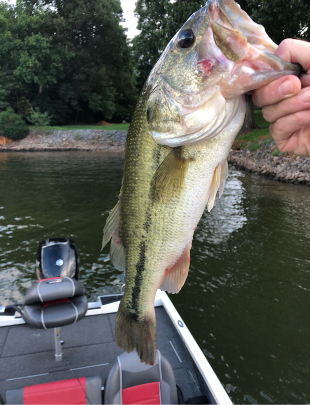 A photo of Justin Fryer's catch