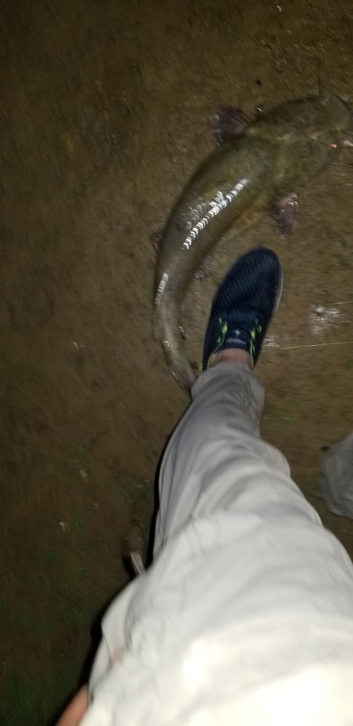 A photo of J B's catch