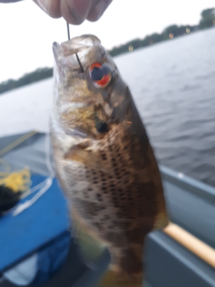 A photo of Kyle Watters's catch