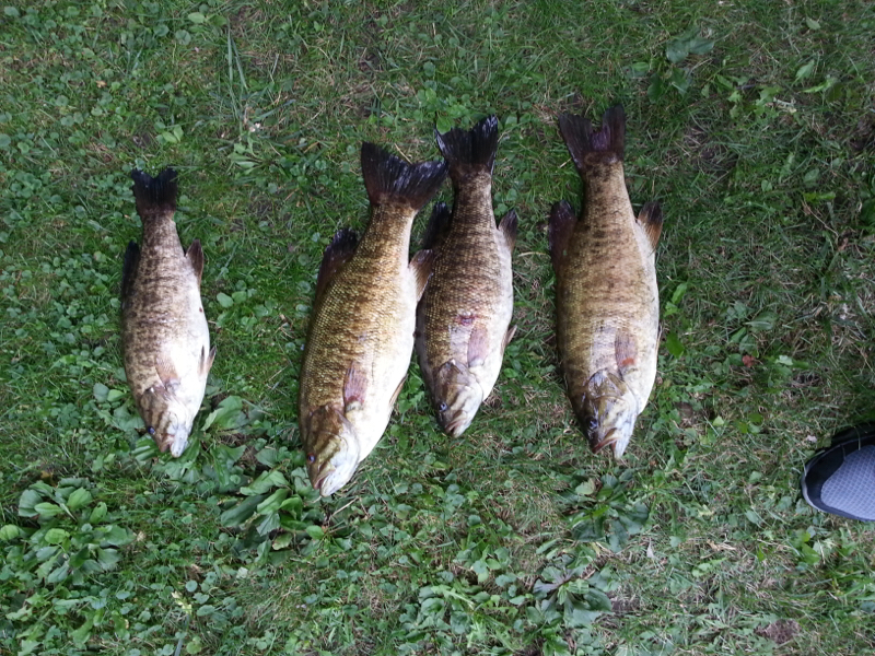 A photo of Neal M's catch