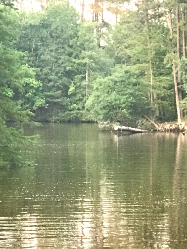 Lake Houston TX Fishing Reports, Map & Hot Spots