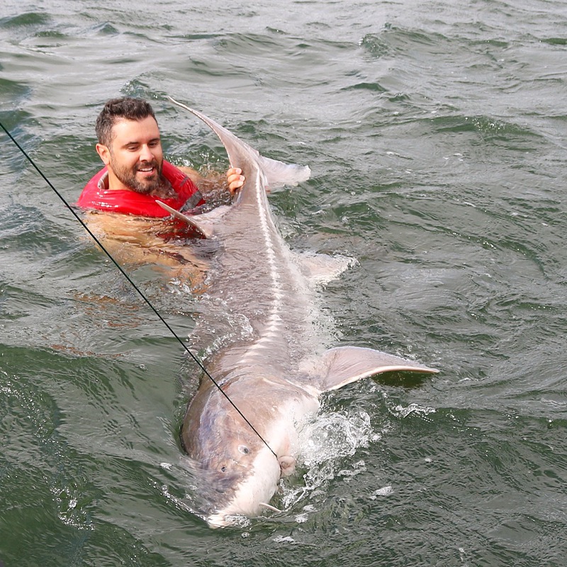 A photo of Christopher Pereira's catch