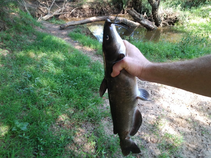 A photo of Shea Cook's catch