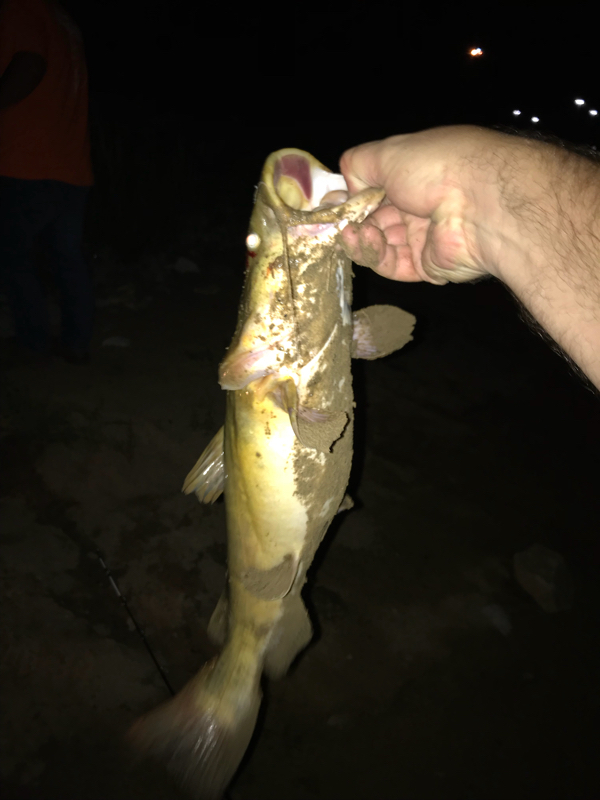 A photo of Jimmy McCallister's catch