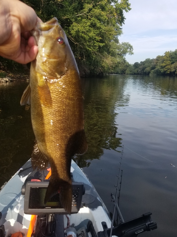 A photo of angry pacella's catch
