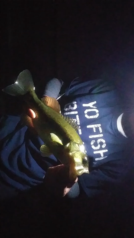 A photo of ฯ{ Dizz|€'s catch
