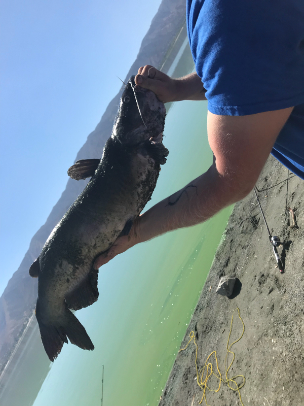 A photo of Nick  Perry's catch