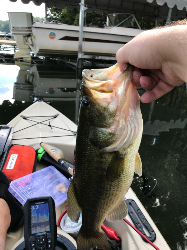 A photo of Dan Fandrey's catch