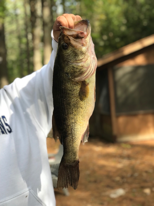A photo of Justin Cox's catch