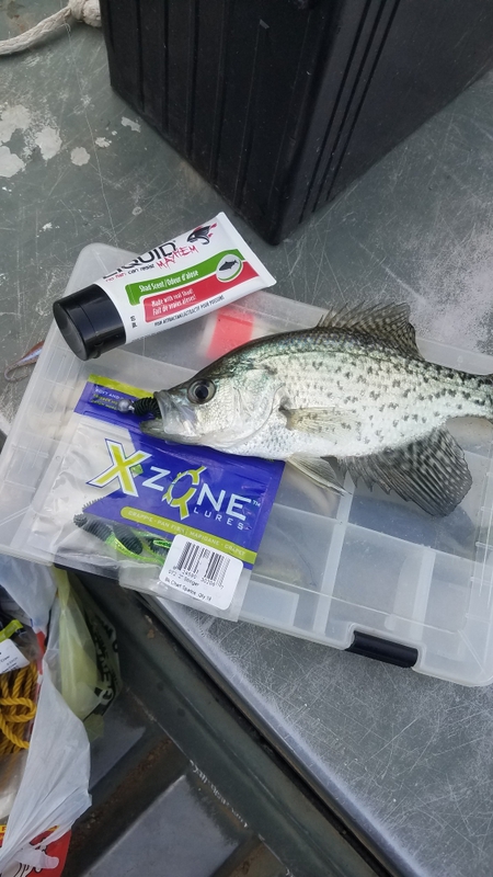 liquid mayhem shad scent