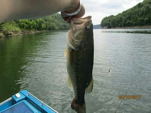 A photo of Will Foster's catch