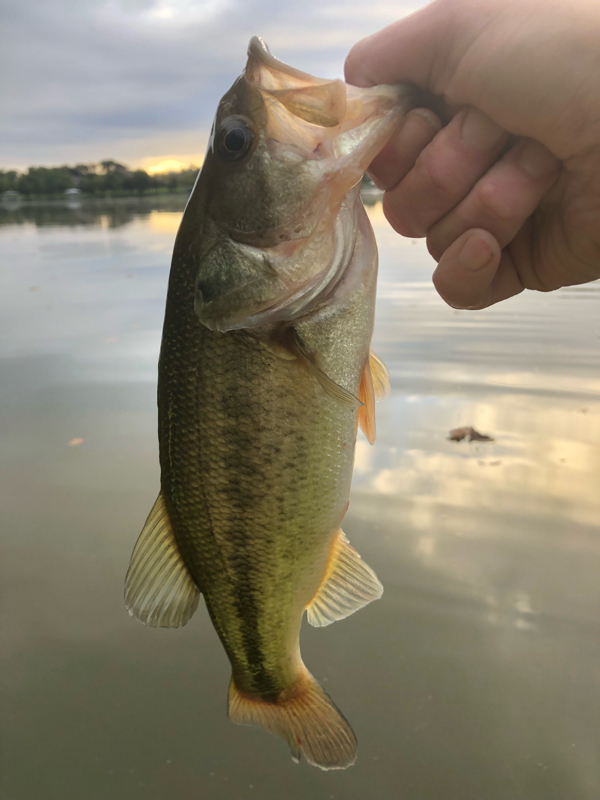 A photo of Vern Hall's catch