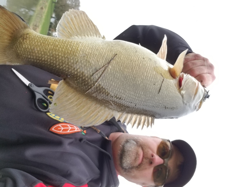 A photo of David Buzzo 's catch