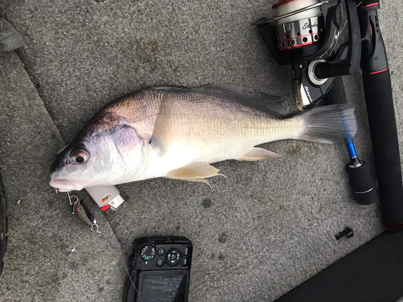 A photo of Turley Muller's catch