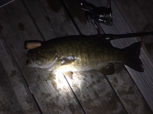 A photo of Midnight Hooker's catch