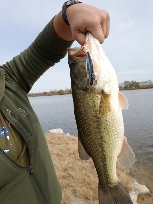 A photo of Mike  Dargy's catch