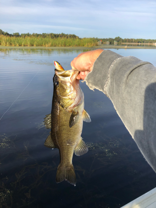 A photo of Eric Shults's catch