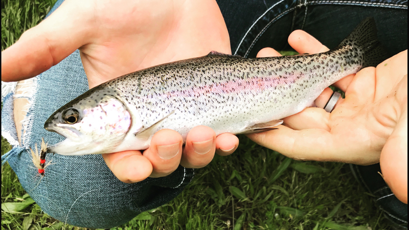 A photo of Sean Schrader's catch