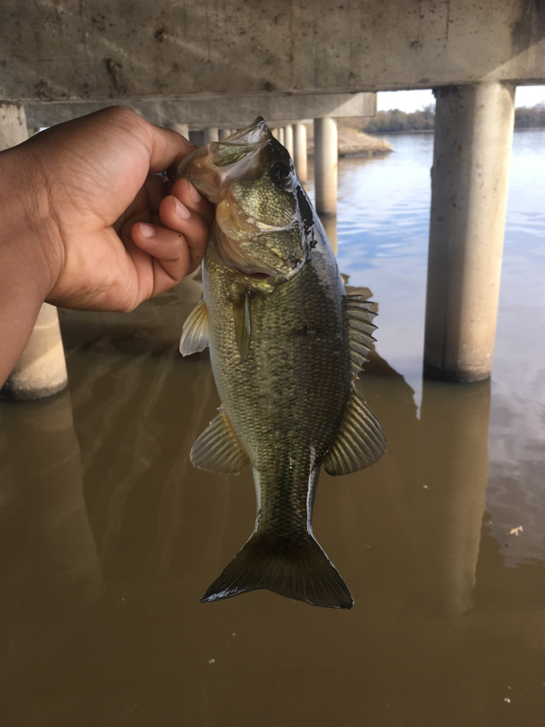 A photo of Jacorey Smith's catch