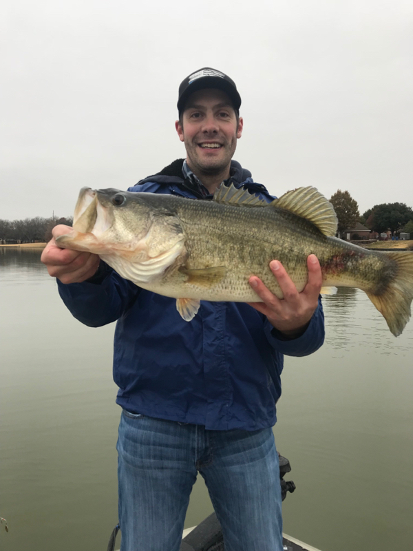 Caught a Largemouth Bass on Lavon Lake using a Texas Rig
