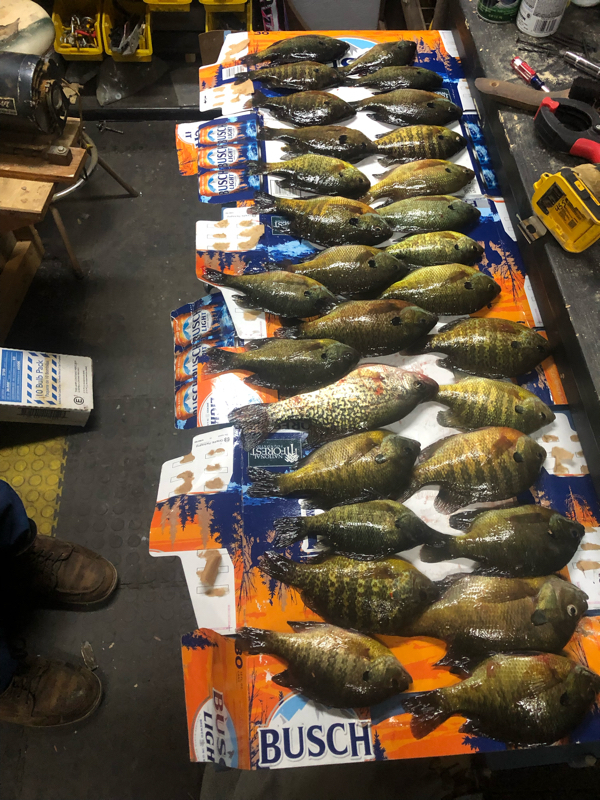A photo of Gary m's catch