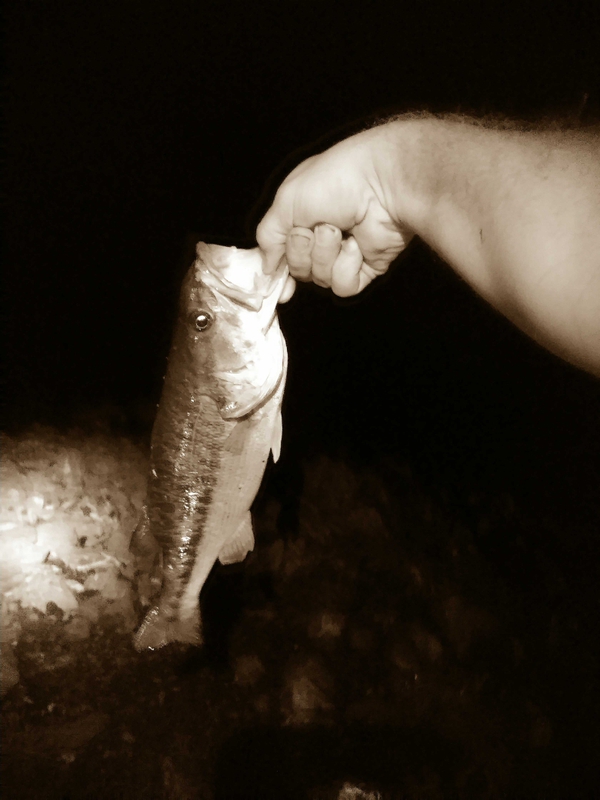 A photo of charles ray's catch