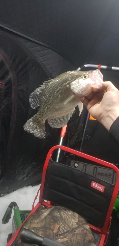 A photo of johnny Rodriguez's catch