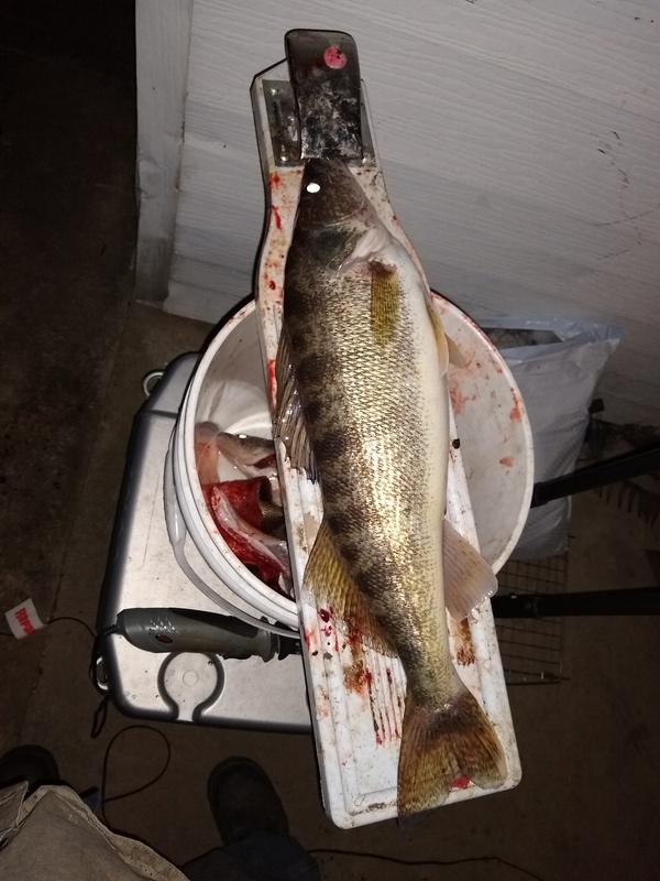 A photo of Christoher Stewart's catch