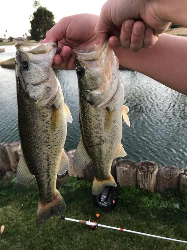 A photo of Colton  Campbell's catch