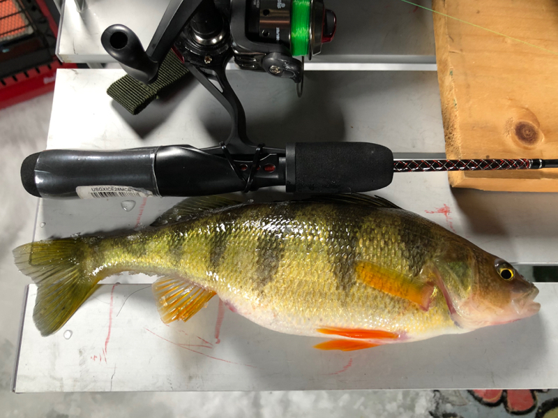 A photo of Andre Gratton's catch