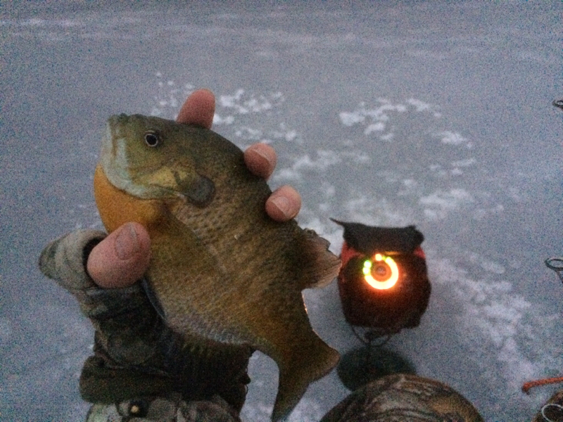 A photo of Mike Wilson's catch