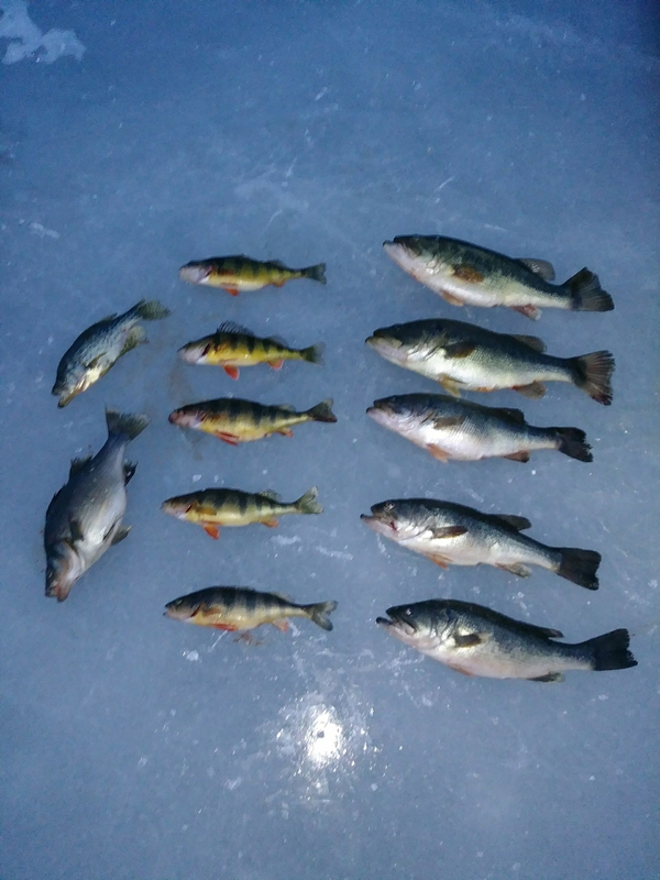 A photo of Richard Beckwith's catch