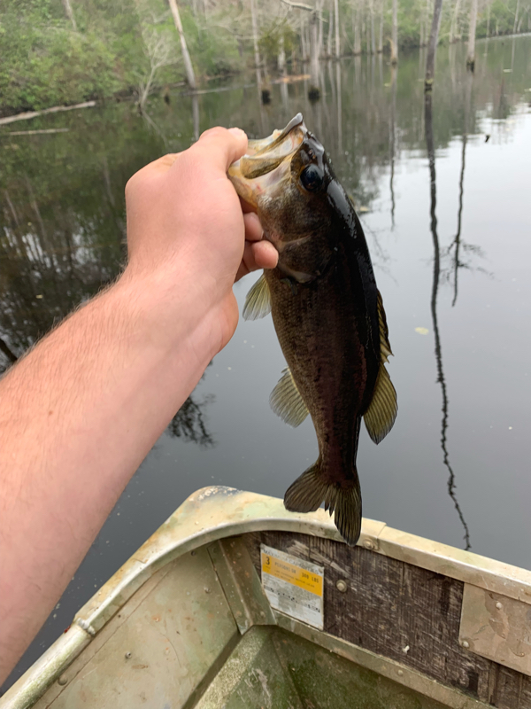 A photo of Luke Renfroe's catch