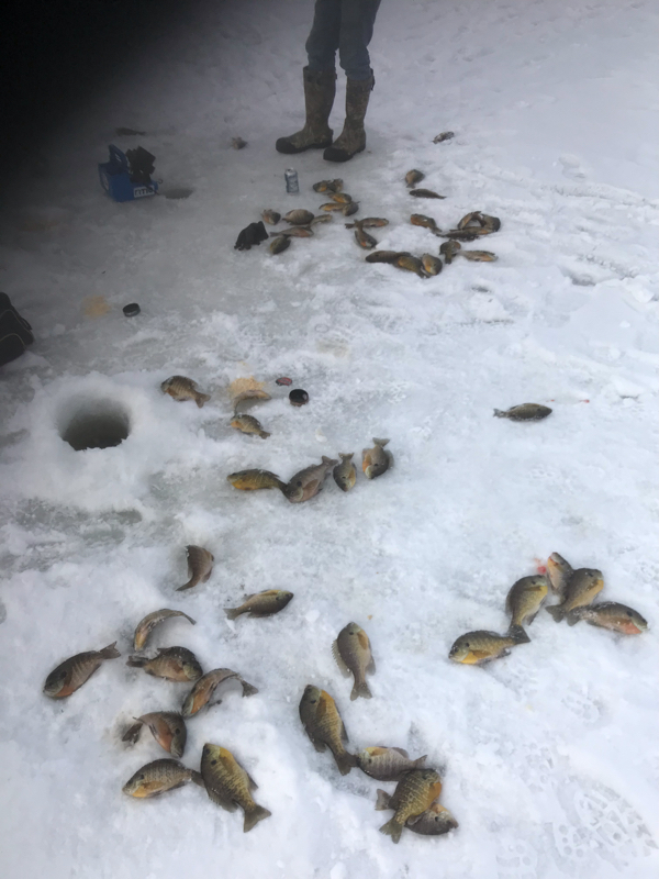 A photo of Cory  Wind's catch