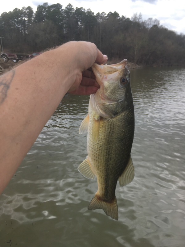 A photo of James Chipman's catch