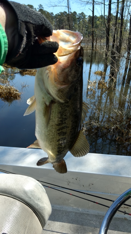 A photo of john chandler's catch