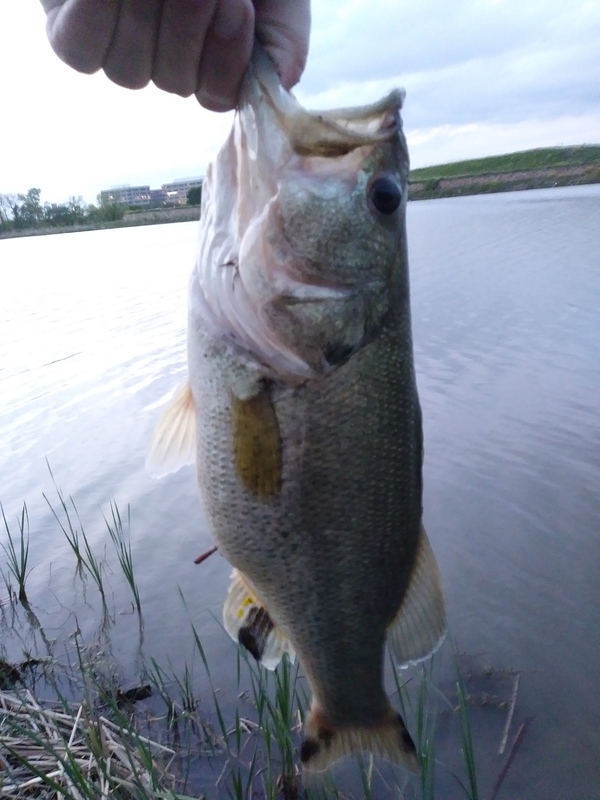 A photo of Mitch Baker's catch