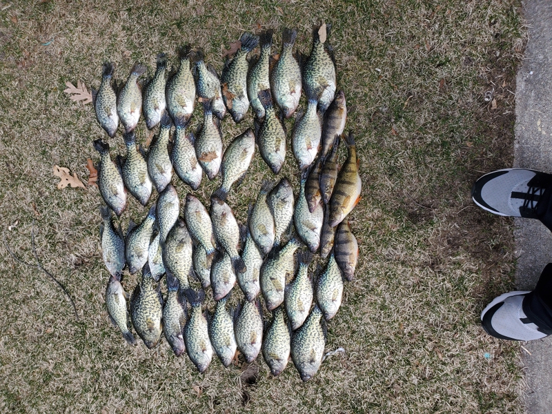 A photo of Jacob Reinecke's catch