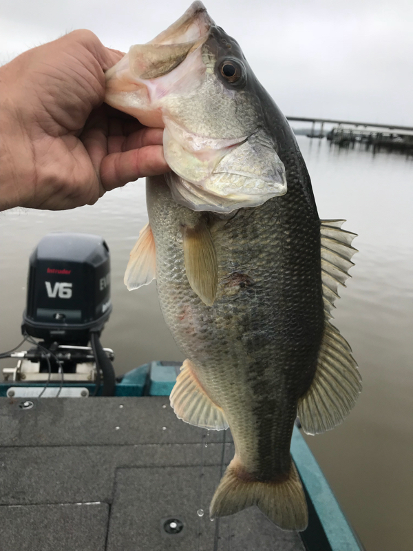 A photo of Warren Ray's catch