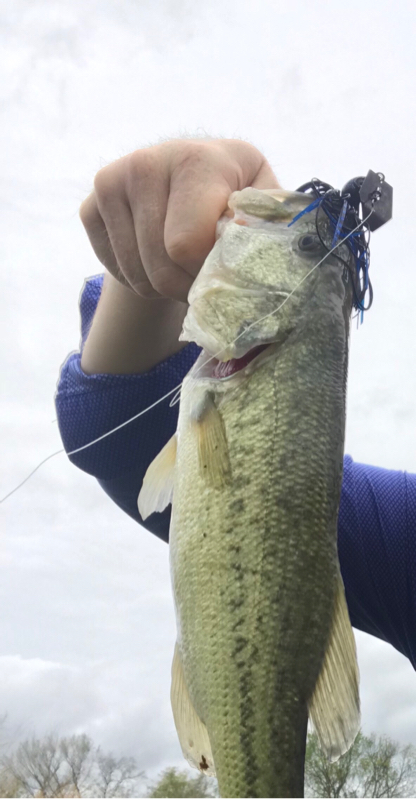 A photo of THOMAS CULP's catch