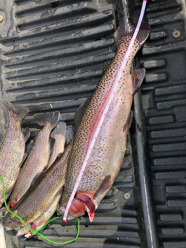 A photo of Adam Neal Cutcher's catch
