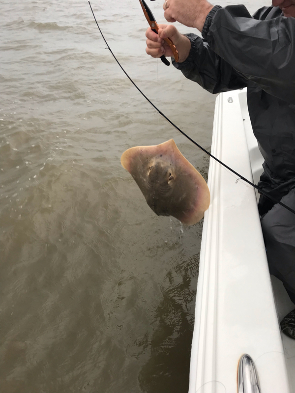 A photo of Joe Garding's catch