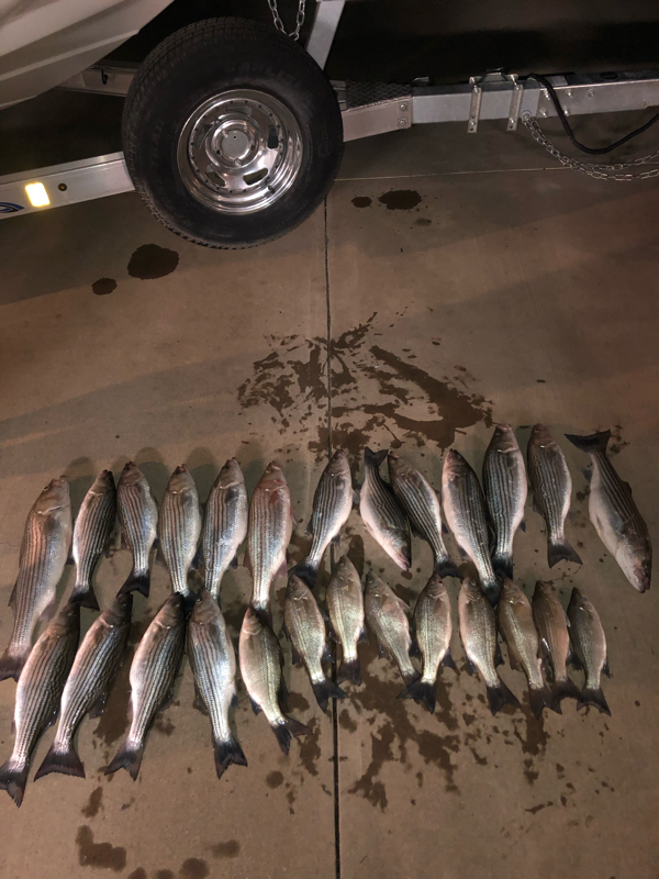 A photo of Paul Osborne's catch