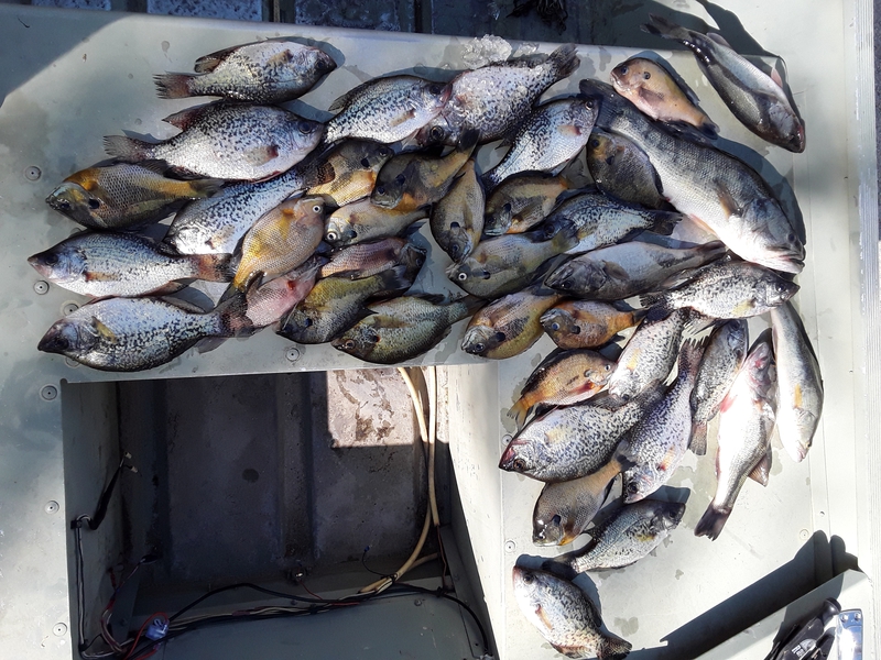 A photo of Brian  Oglesby 's catch