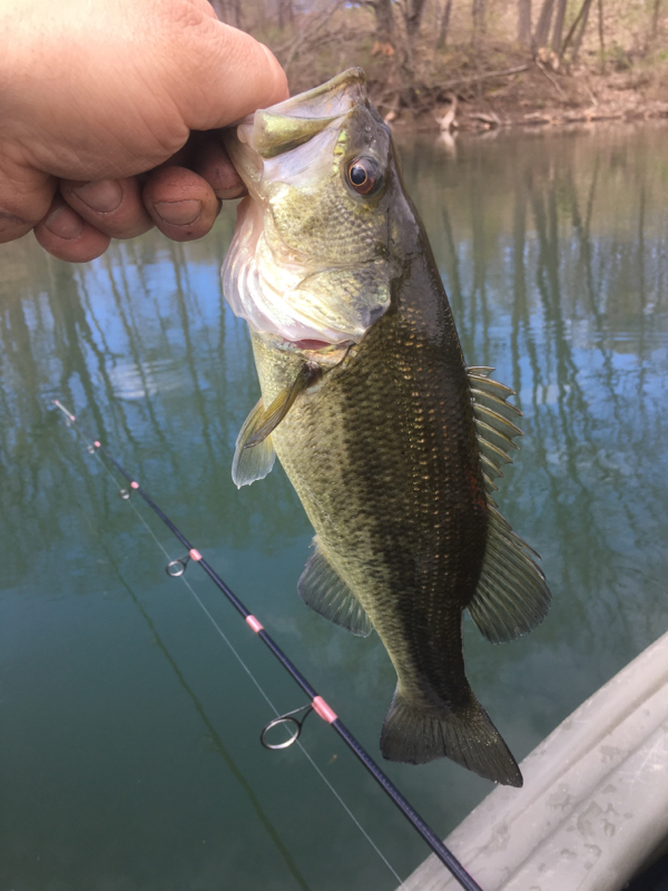 A photo of Dustin Daily's catch